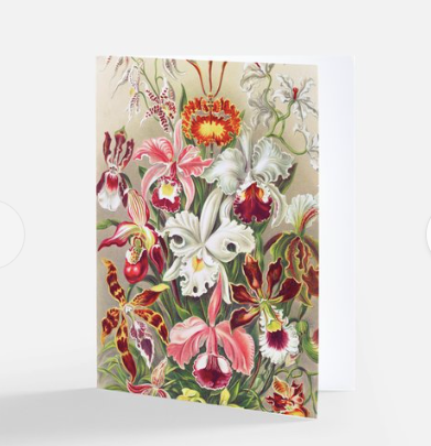 Add on gift - SFB Wildflower Greeting Card