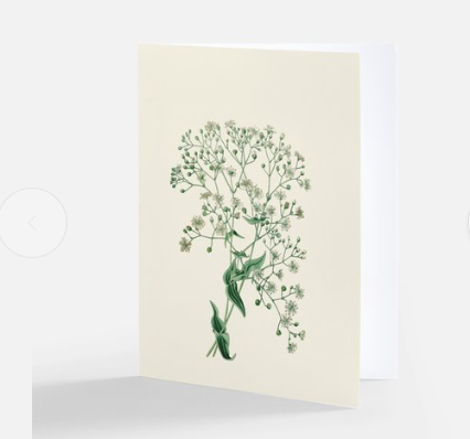 Add on gift - Wildflower Greeting Card